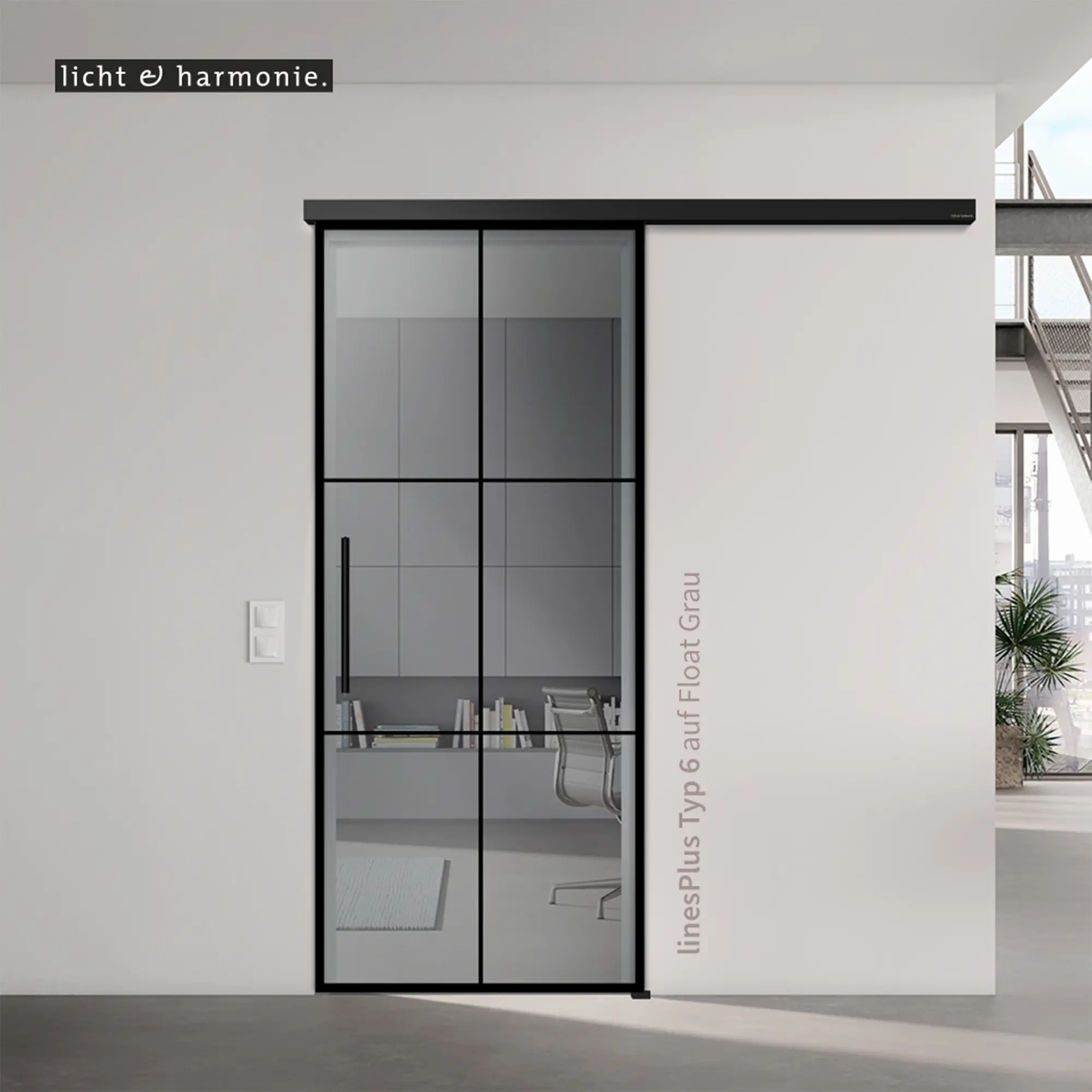 LinesPlus Typ 6 Glastür in Float Grau mit schwarzem Rahmen, ideal für moderne Wohnkonzepte.
